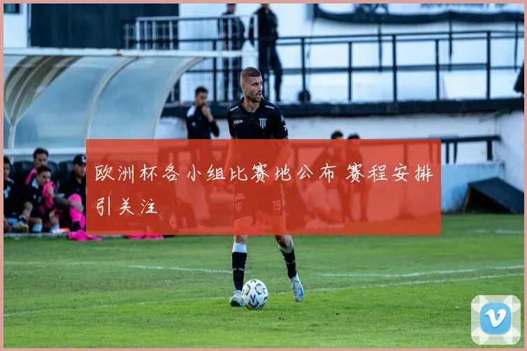 欧洲杯各小组比赛地公布 赛程安排引关注