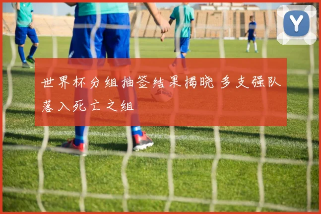 世界杯分组抽签结果揭晓 多支强队落入死亡之组