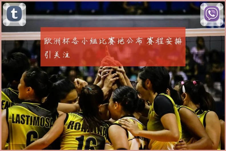 欧洲杯各小组比赛地公布 赛程安排引关注