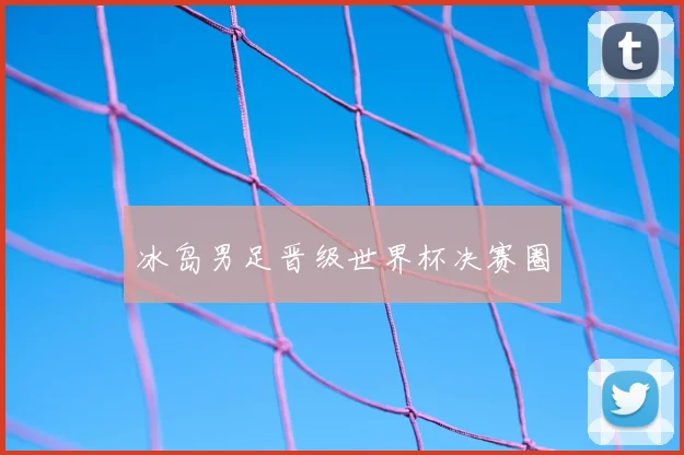 冰岛男足晋级世界杯决赛圈