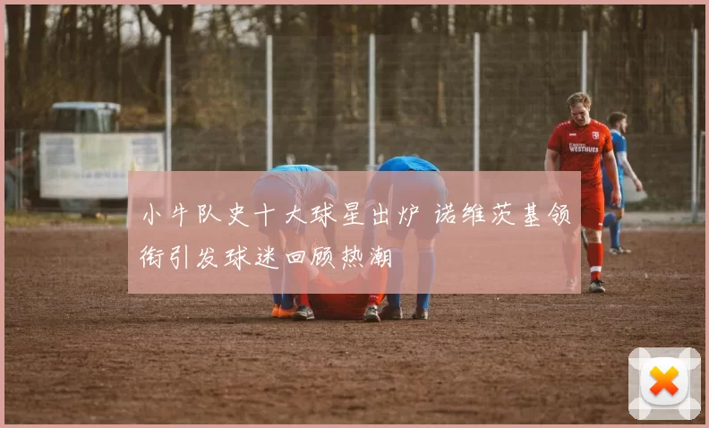 小牛队史十大球星出炉 诺维茨基领衔引发球迷回顾热潮