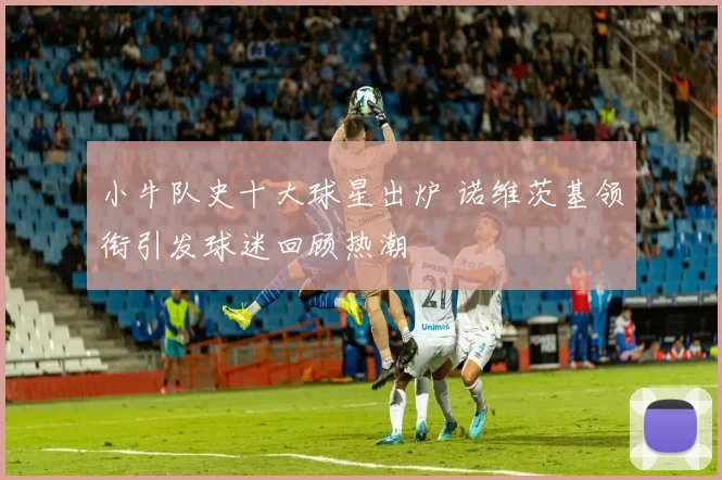 小牛队史十大球星出炉 诺维茨基领衔引发球迷回顾热潮