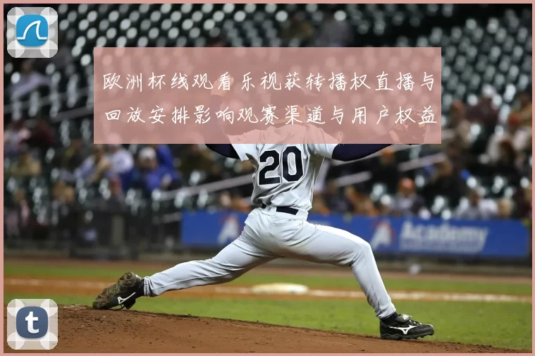 欧洲杯线观看乐视获转播权直播与回放安排影响观赛渠道与用户权益