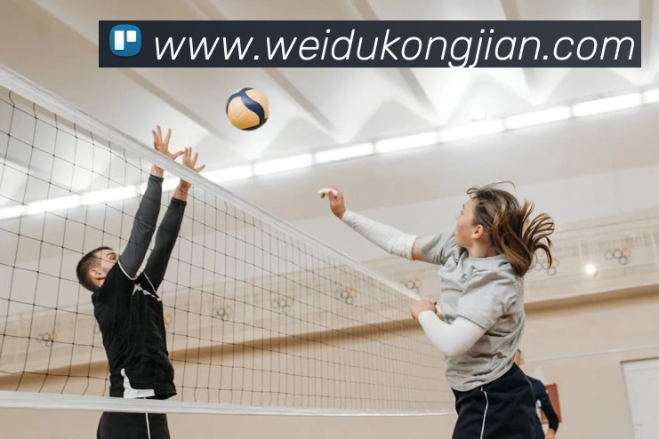 App Interface Preview